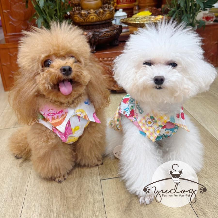 Sơ mi cho chó mèo thú cưng yudog
