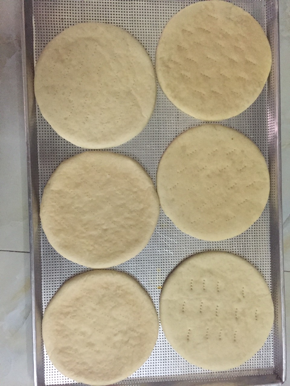 Đế pizza 20cm set 5 cái