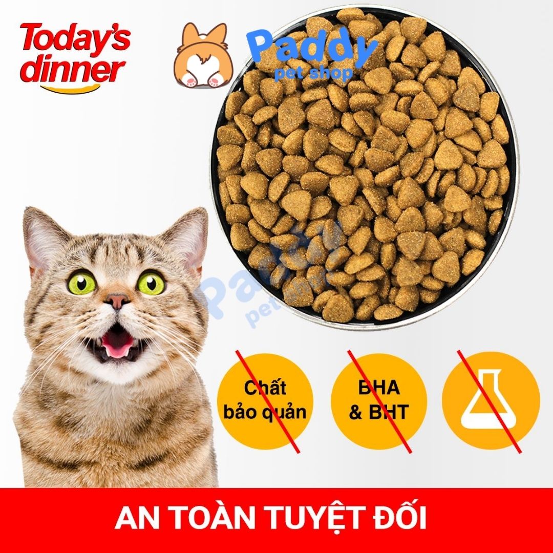 Hạt Today's Dinner Cho Mèo Mọi Lứa Tuổi