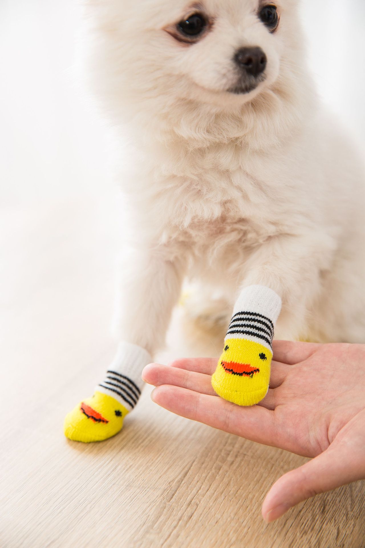 4-Legged Socks Keep Warm and Reduce Foot Dirt for Dogs and Cats -T3 Pets Shop