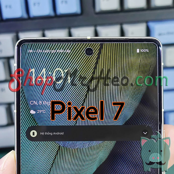 Dán Kính Cường Lực Google Pixel 7 - Pixel 7a - Pixel 6a