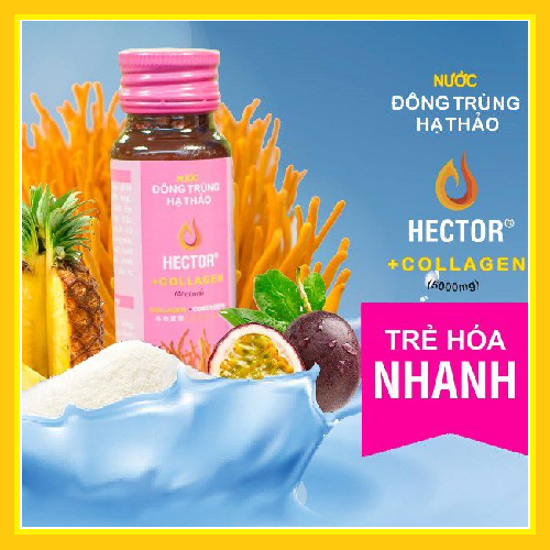 Nước đông trùng hạ thảo Hector collagen (Hộp 10 chai x 50ml)