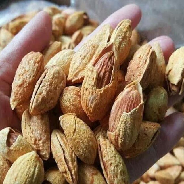 500g nụ tấm tam thất bao tử
