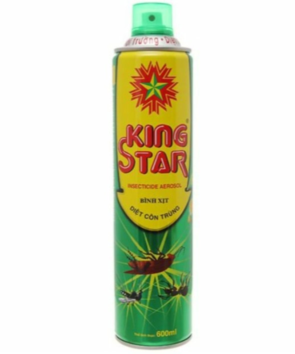 2 Bình xịt muỗi, kiến, côn trùng KING STAR 600ml