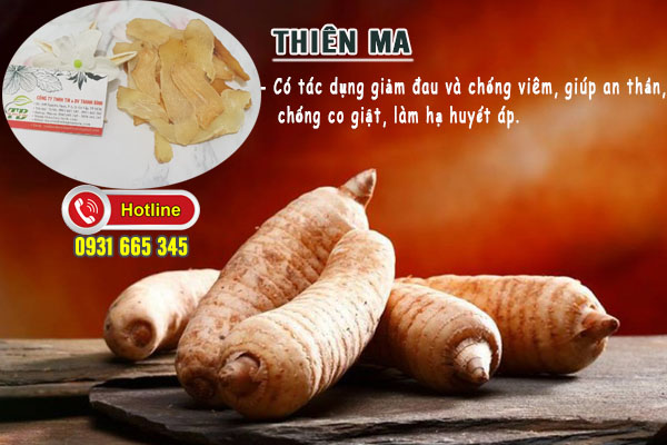 Cây Thiên Ma Khô 1KG - Thảo Dược Thanh Bình