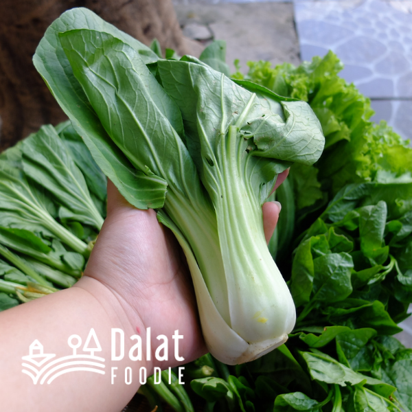 Cải Thìa 250G - [Giao hàng ngay tại TPHCM]