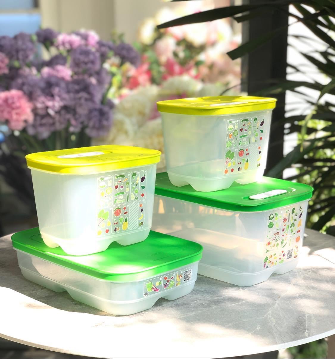 Bộ 4 hộp trữ mát có nút hô hấp VENTSMART