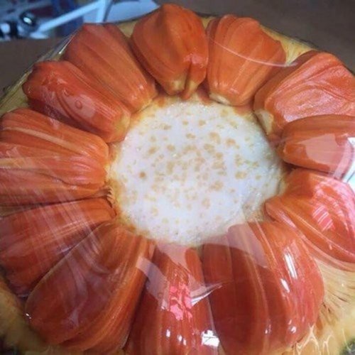 CÂY GIỐNG MÍT RUỘT ĐỎ SIÊU TRÁI - GIỐNG CÂY F1