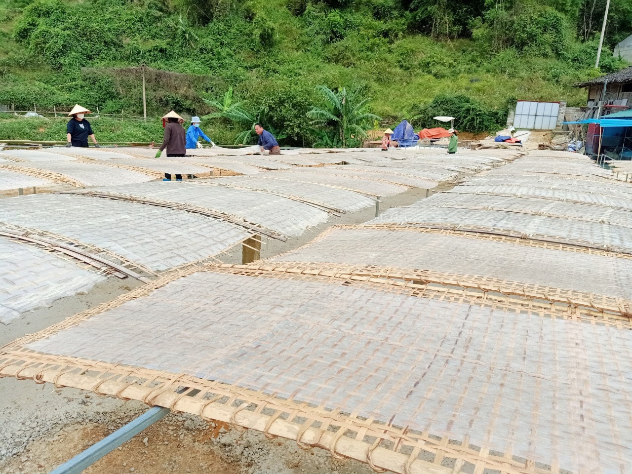 Miến Dong Lạng Sơn gói 500g