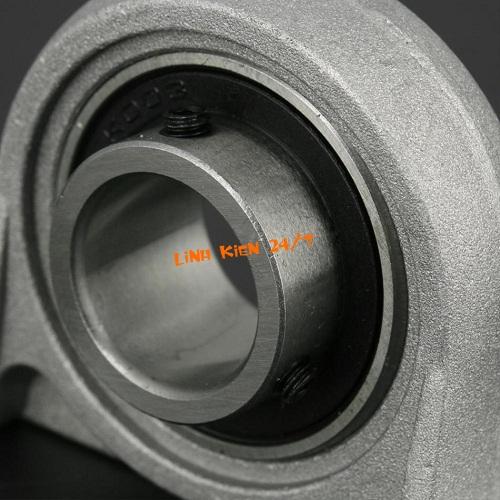 GỐI ĐỠ VÒNG BI DẠNG TRỤC ĐỨNG P003 – 17MM