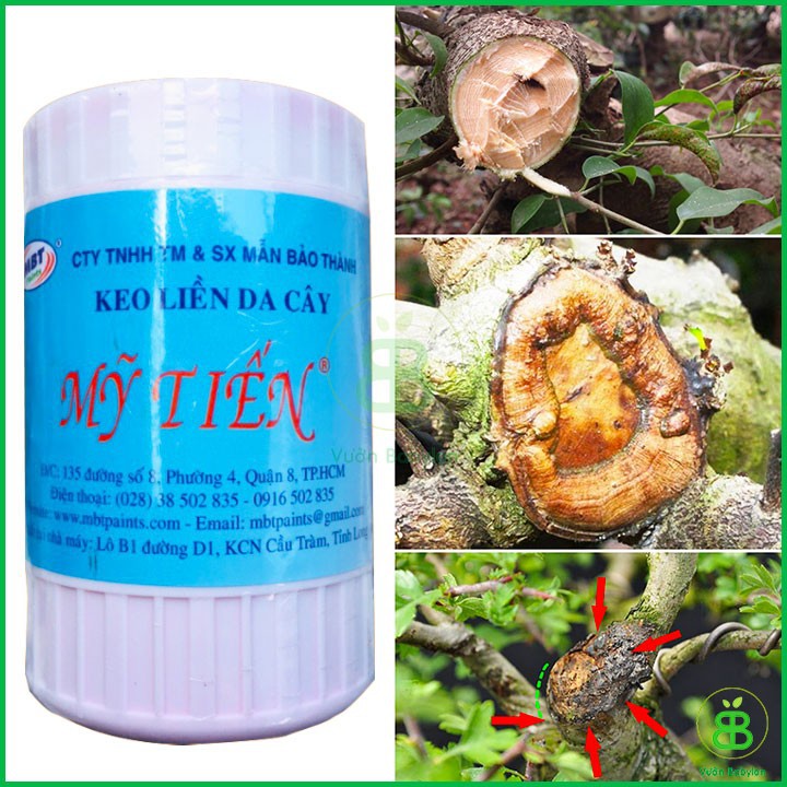 Keo Liền Sẹo Mỹ Tiến 225G