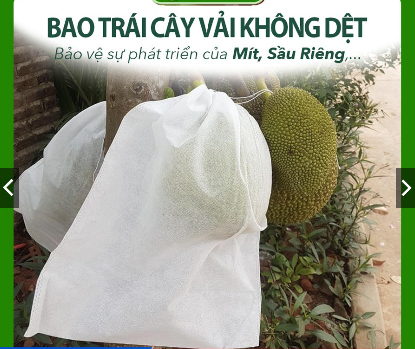 100 Túi Bọc Mít Kích Thước 45x60cm