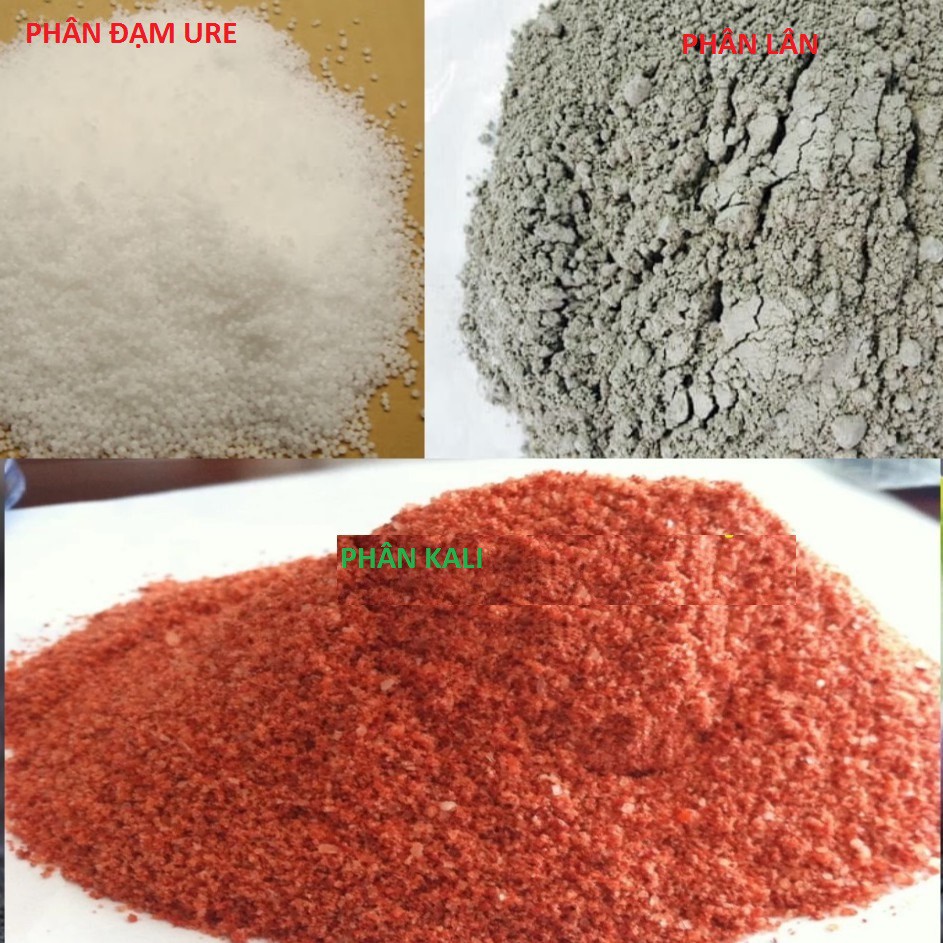 Phân bón đạm u rê, phân lân, phân kali 500gram