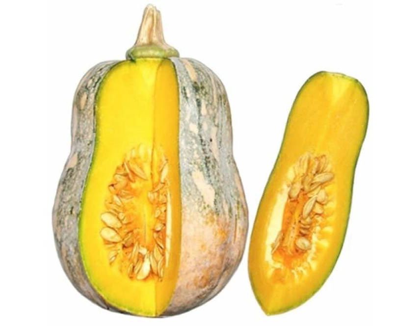 [HCM]10 Hạt Giống Bí Đỏ Hạt Đậu Lai F1