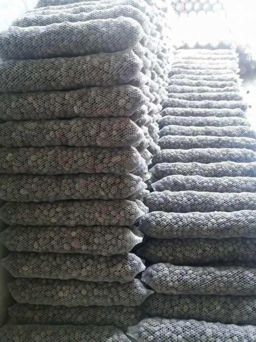 "Combo 10 Túi Lưới Phân Dê Trồng Lan dài 15 đến 20 cm- Hãy mua ngay, sản phẩm giá tốt, gian hàng uy tín chất lượng đảm bảo hài lòng.  "