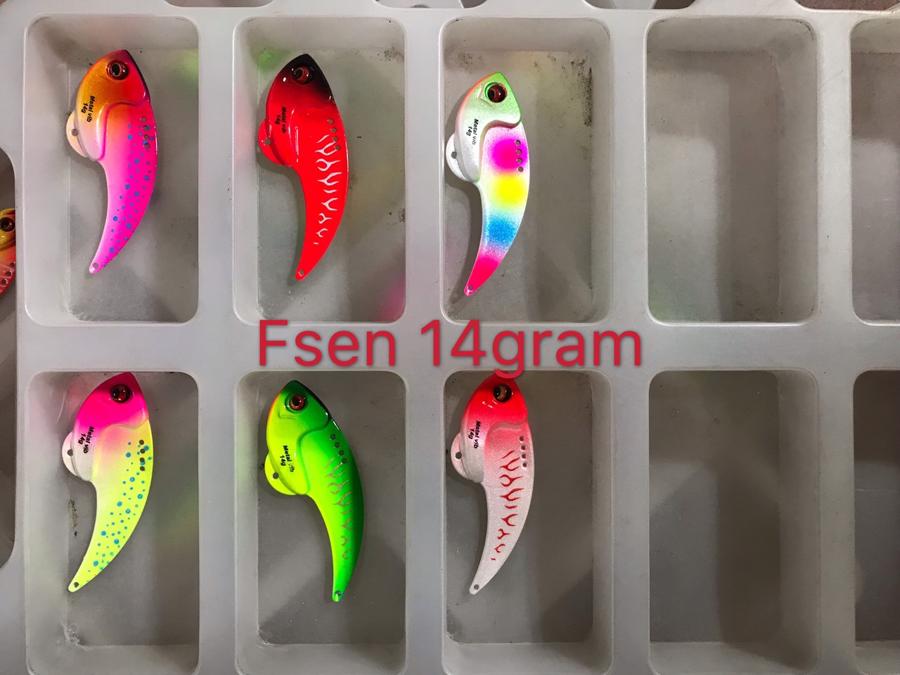CÁ SẮT FISHSEN LƯỠI BKK