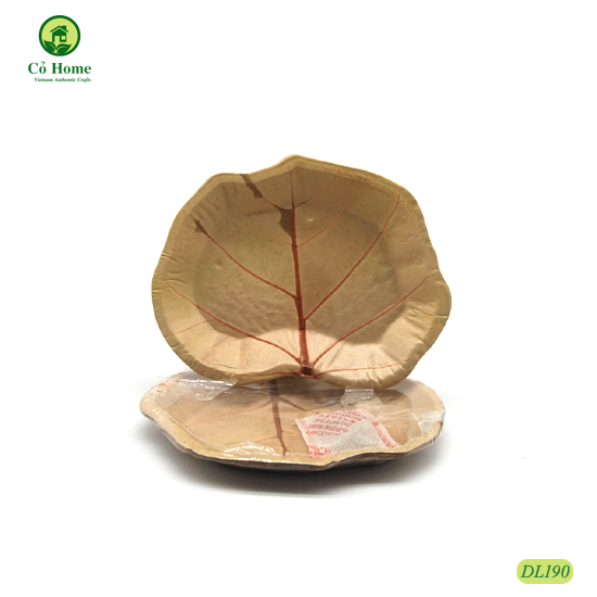 SET 10 ĐĨA LÁ- ĐĨA ĐỘC ĐÁO- CỎ HOME