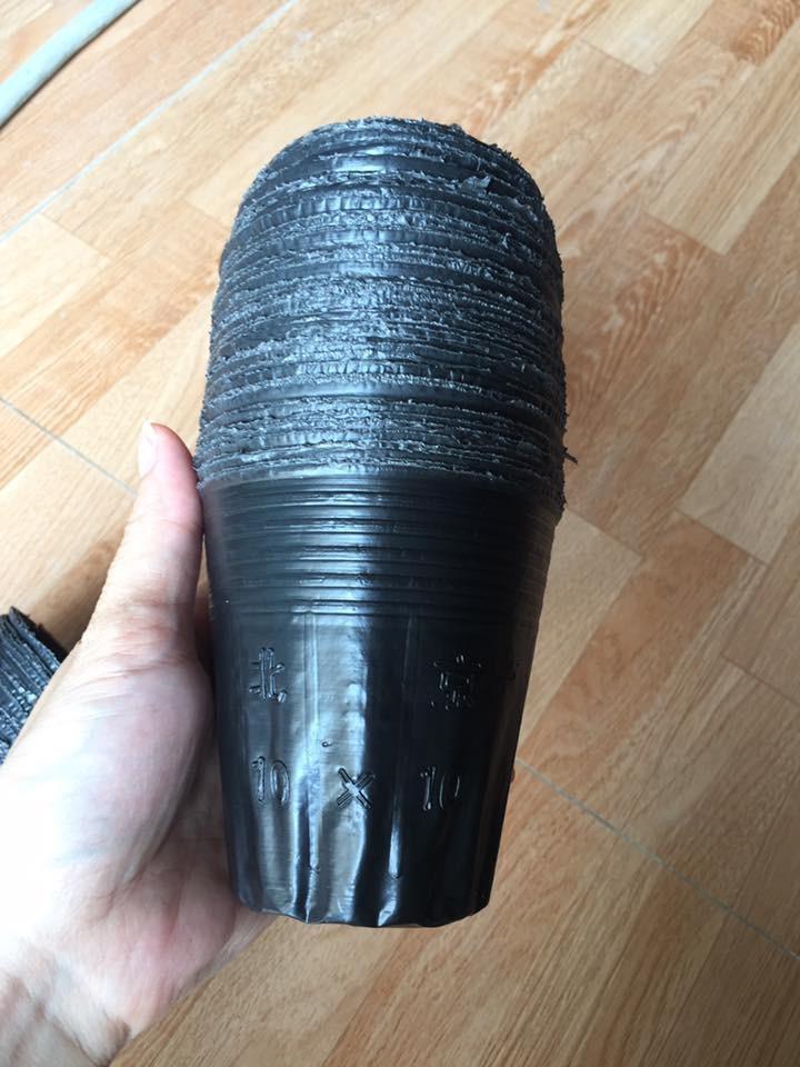 1kg Túi bầu đen  ươm cây 13x12