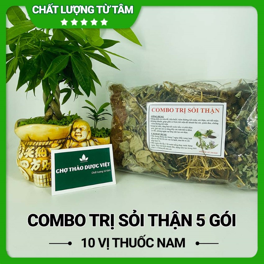 5 Set Gồm 10 Vị T.huốc Nam Hỗ Trợ Trị Sỏi Thận Hiệu Quả