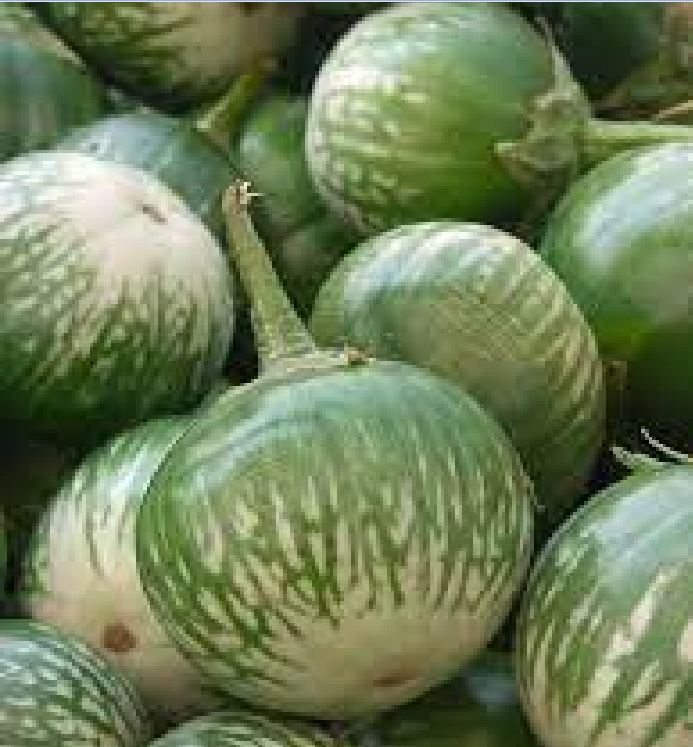 Frog Skin Tomato Seeds - 1 Pack of 0.5 Grams