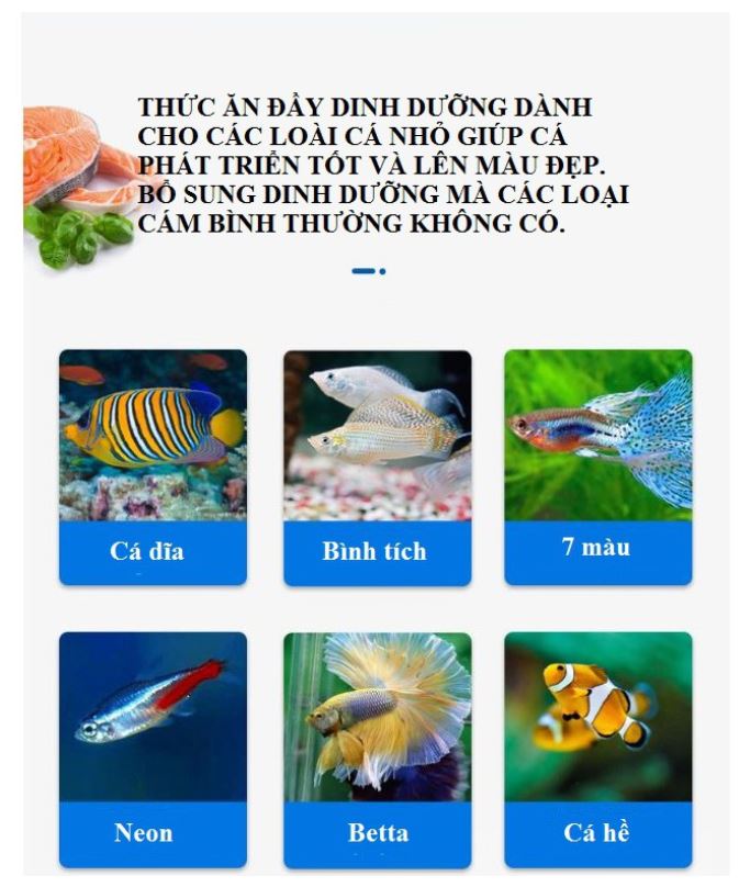 Cám Yee dán kính bể cá cho ăn tiện lợi