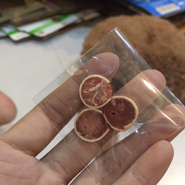 [HCM][Buffet1k] Sushi bò cuộn cho hamster