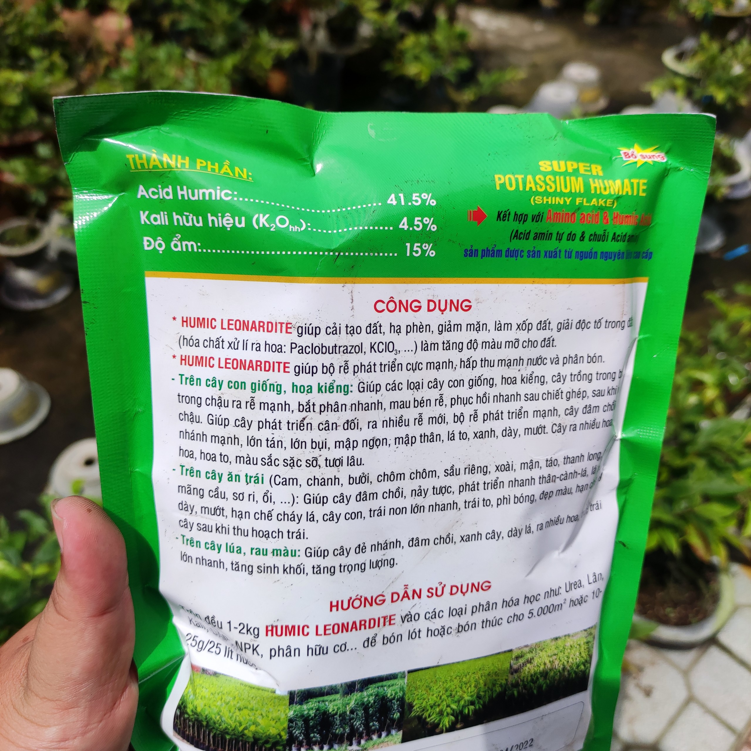 sâm đất humic con heo cho cây mai vàng