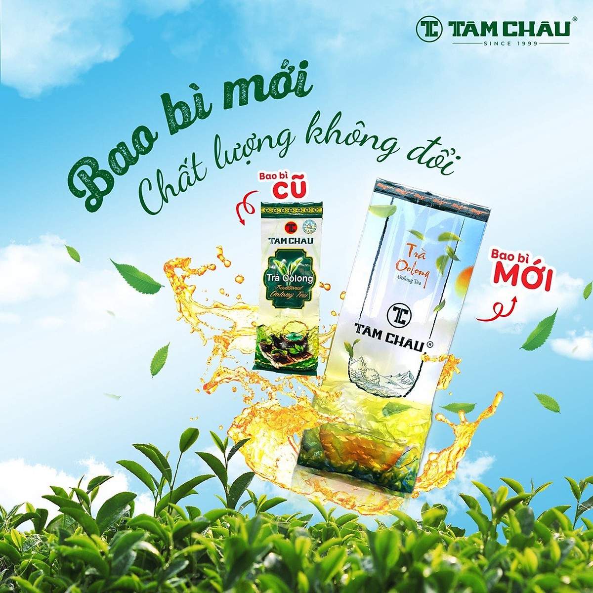 Trà Ô Long Tâm Châu Lâm Đồng