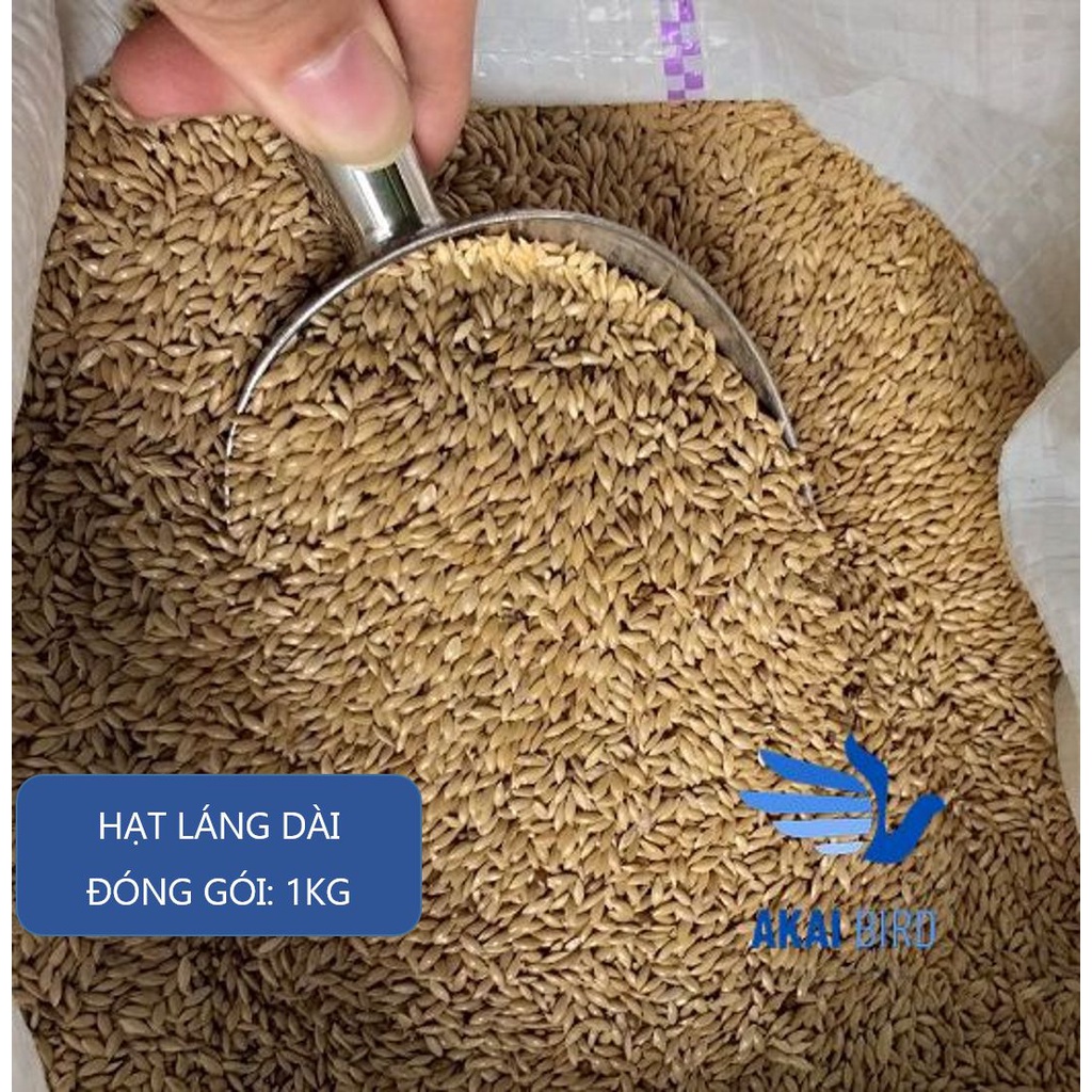 [1KG] Hạt Láng Dài Cho Vẹt, Hamster, Sóc, Gà, Chim....