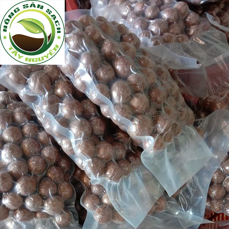 [HCM]500G Hạt mắc ca nứt vỏ - Hạt macca đắk lắk - Hạt macca (tặng kèm dụng cụ tách vỏ)