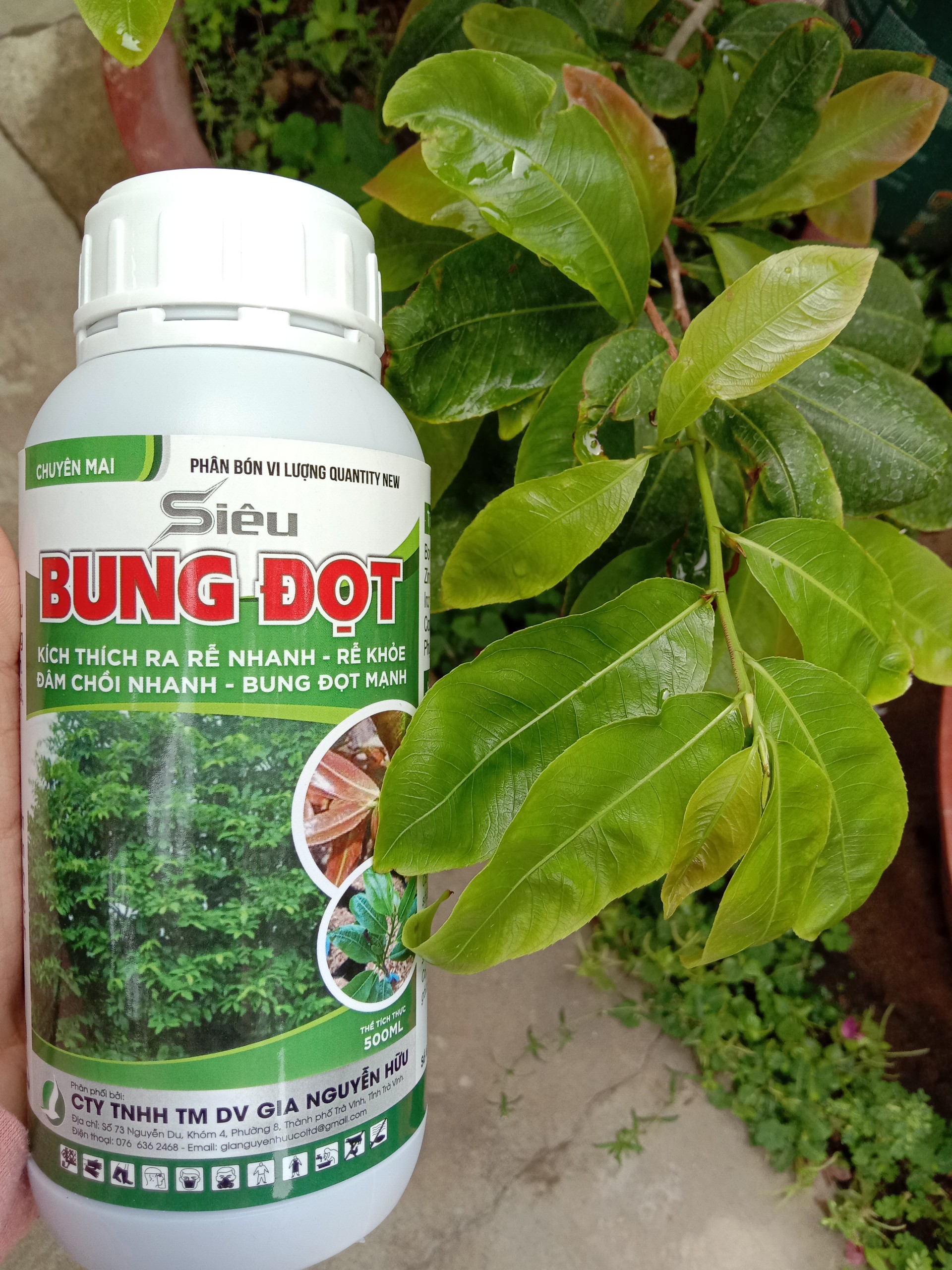 RA RỄ NHANH ĐÂM CHỒI MẠNH - siêu bung đọt 500ml