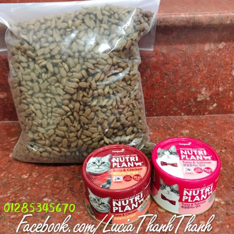 Combo Thức ăn hạt khô cho mèo Cat’s eye 1 kg và 1 lon pate Hàn Quốc Nutri Plan