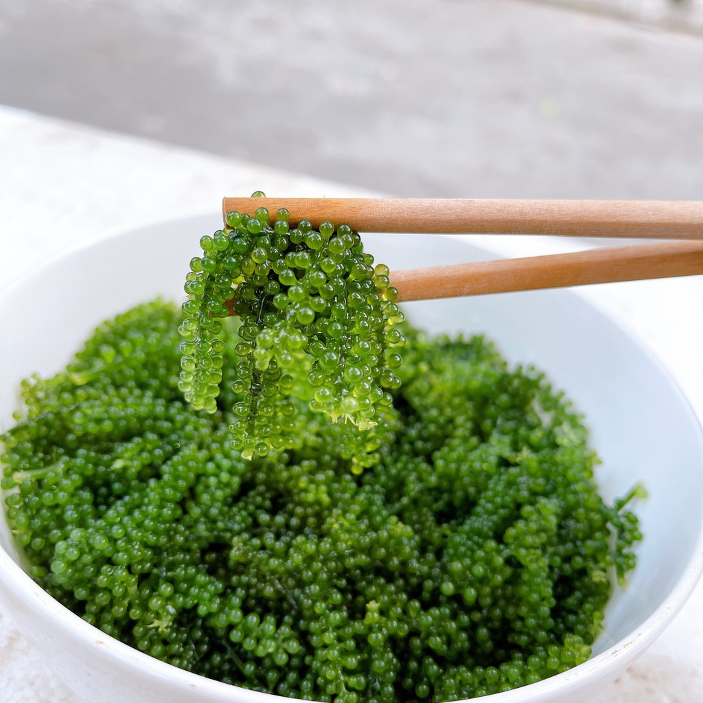 RONG NHO KHÁNH HÒA TÁCH NƯỚC