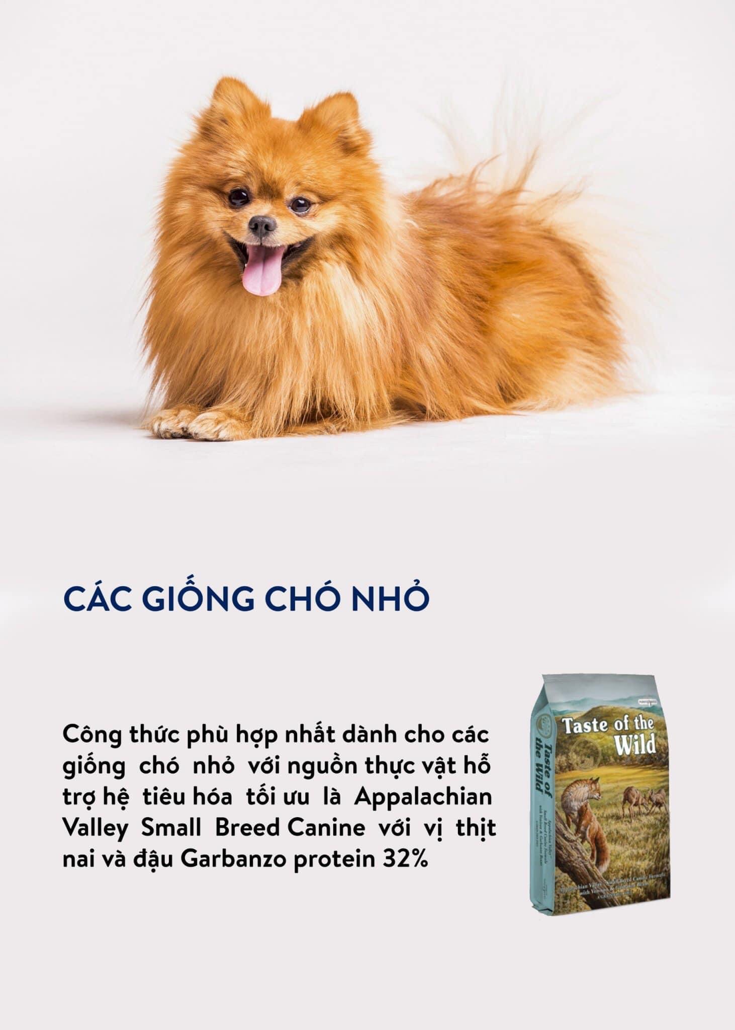 Hạt chó TASTE OF THE WILD (bao nguyên seal 2kg)