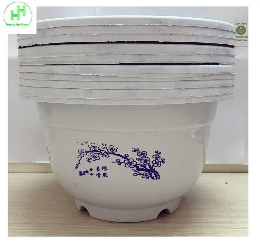 10 Chậu Nhựa Trồng Hoa, Cây Cảnh Hình Tròn A250x170 CN