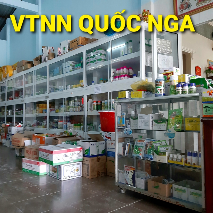 THUỐC TRỪ CỎ TOT 80WP - THAY THẾ 2,4D