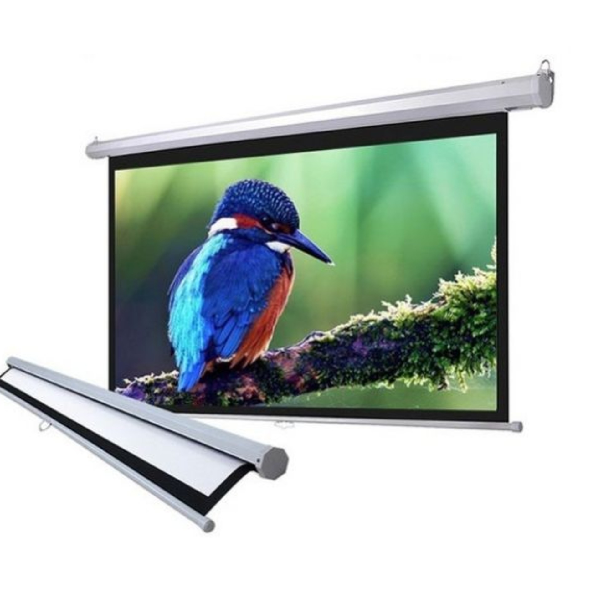 MÀN CHIẾU TREO TƯỜNG KÉO TAY 100"