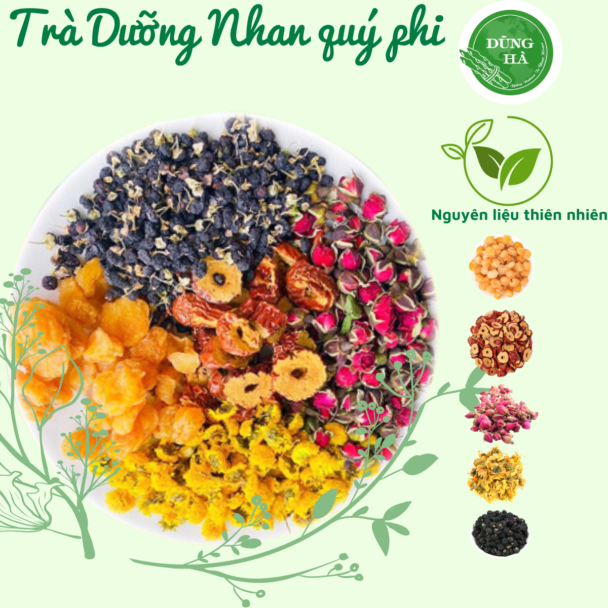 Trà Dưỡng Nhan quý phi- thanh nhiệt, giải độc