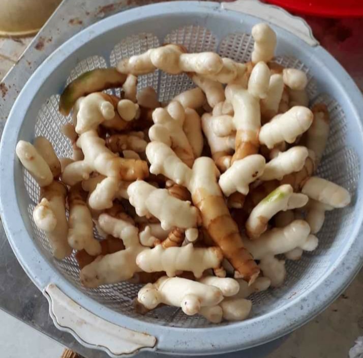 Củ nghệ trắng 1kg