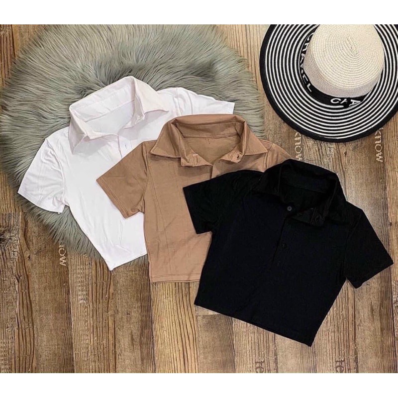 [HCM]Áo croptop cổ trụ Plo áo cổ trụ Plo