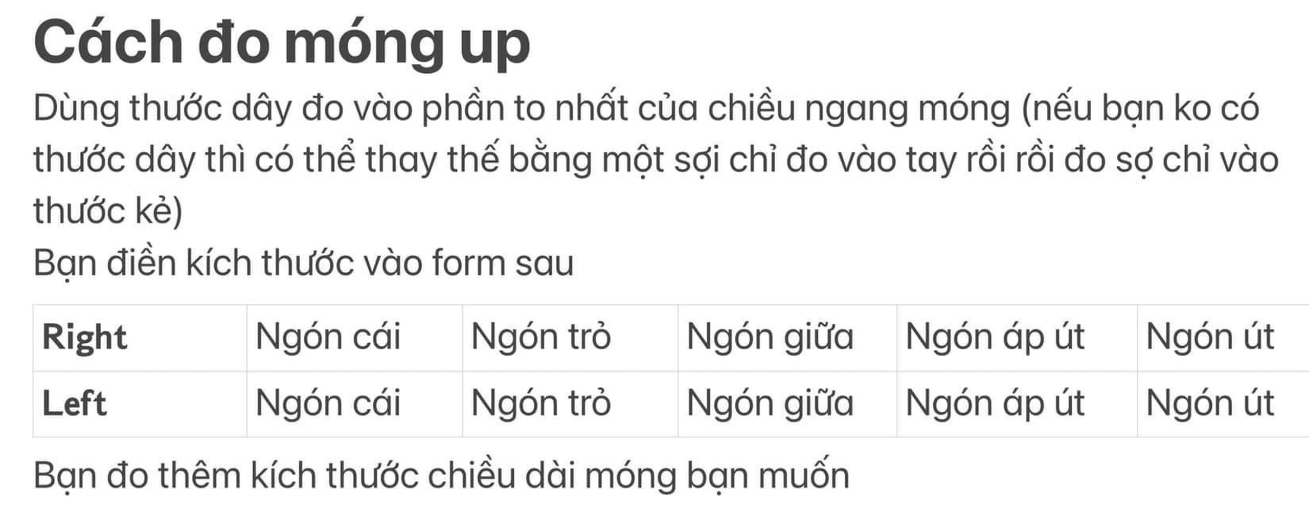 A13/ móng tay giả thiết kế/nailbox (tặng kèm keo, dũa)