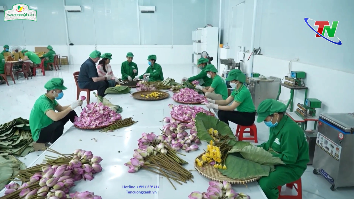 Trà Sen Ngọc Tỉnh Liên TC2 - 100gram