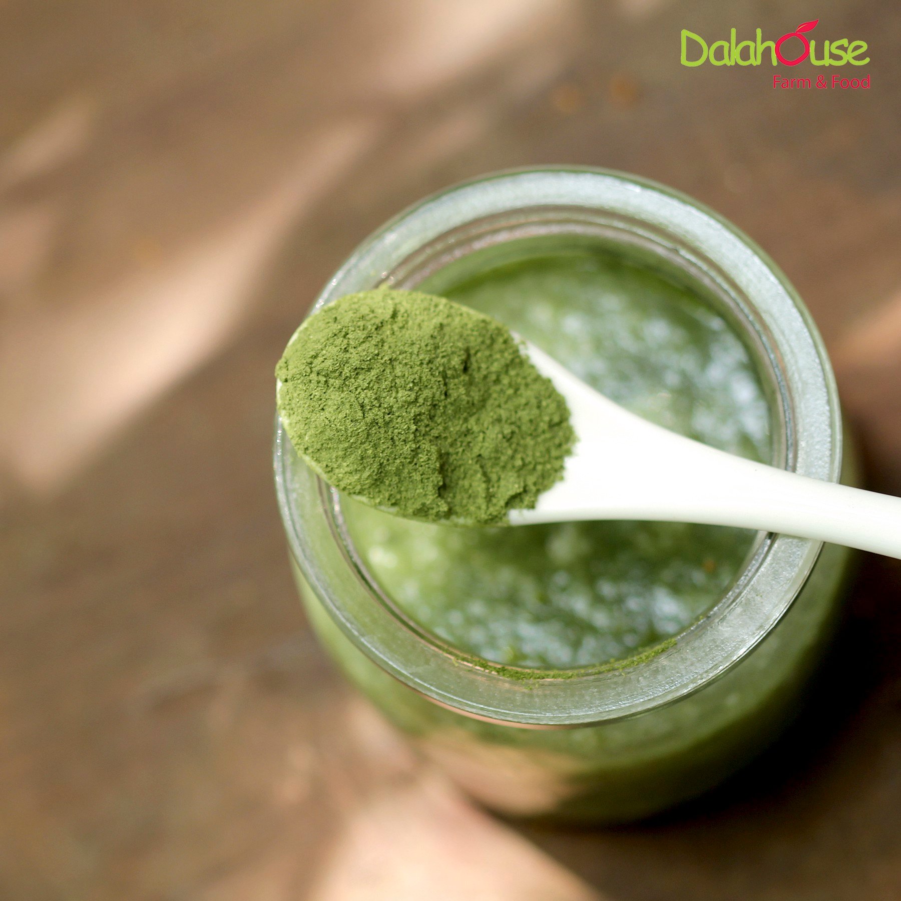 Bột Chùm Ngây Sấy Lạnh Dalahouse 50g / 60g