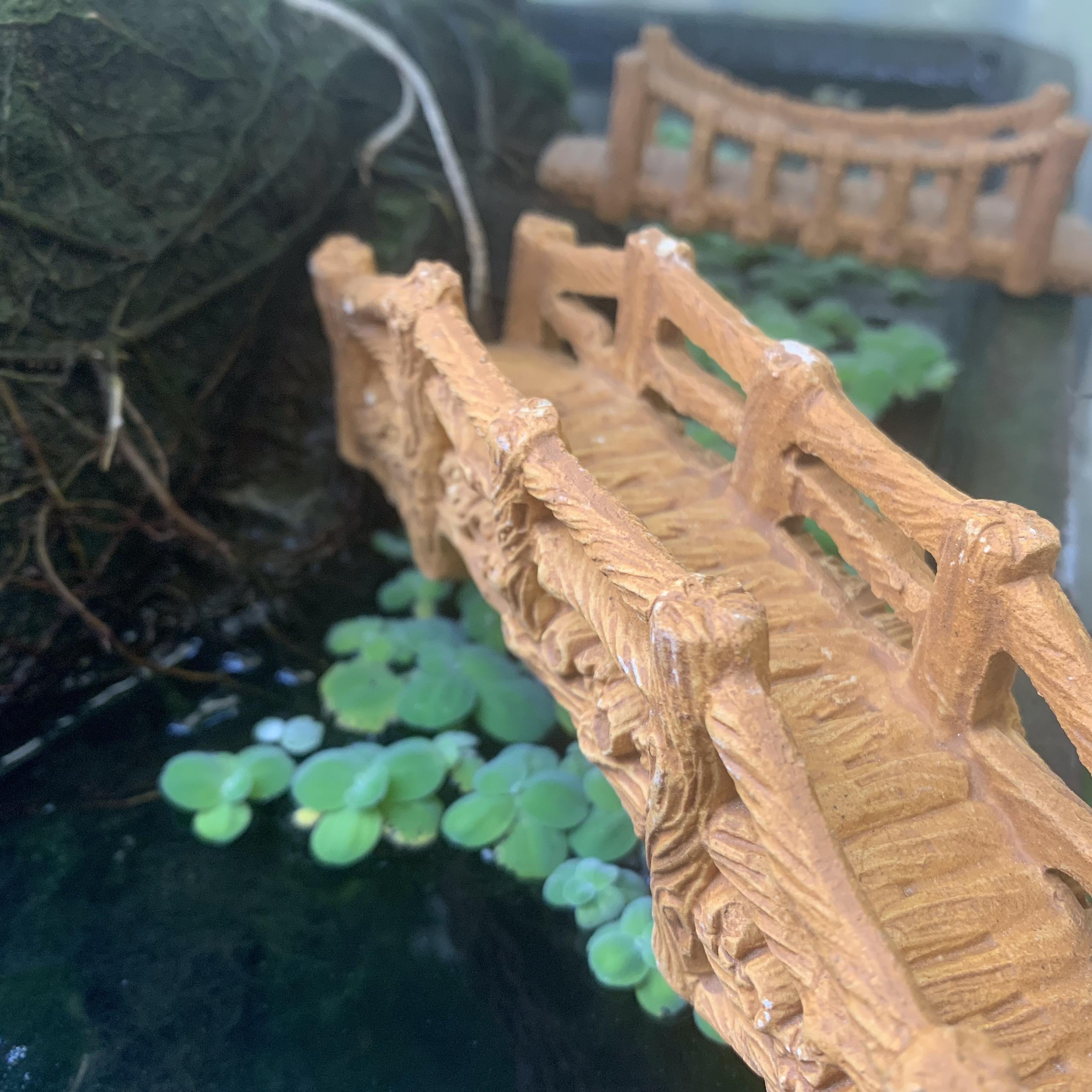 Cây Cầu Gỗ  vàng Trang Trí Hổ Cá, Bể Cá-Hòn Non Bộ