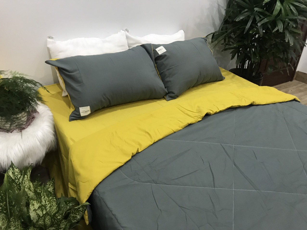 Bộ Chăn Ga Gối Cotton TiCi ( gồm 1 chăn hè đã chần bông, 1 ga và 2 vỏ gôi nằm )