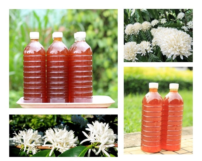 Mật ong hoa cà phê thượng hạng Let's Nuts chai 1 lít
