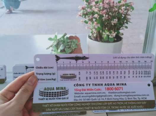 2 Cây thước đo tôm thẻ bằng nhựa