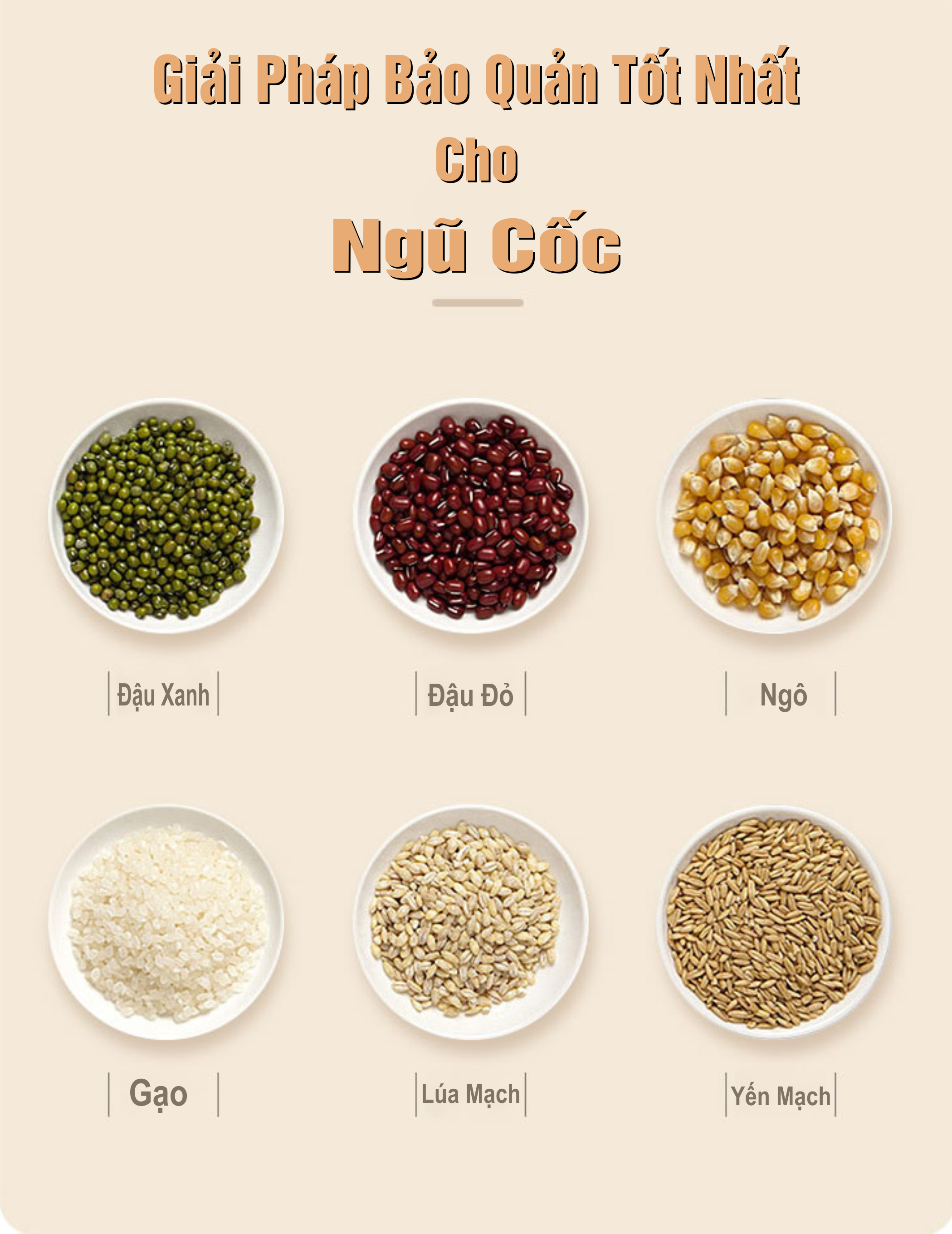Thùng Đựng Gạo Thông Minh - Chống Ẩm, Chống Mối Mọt 5kg Và 10kg