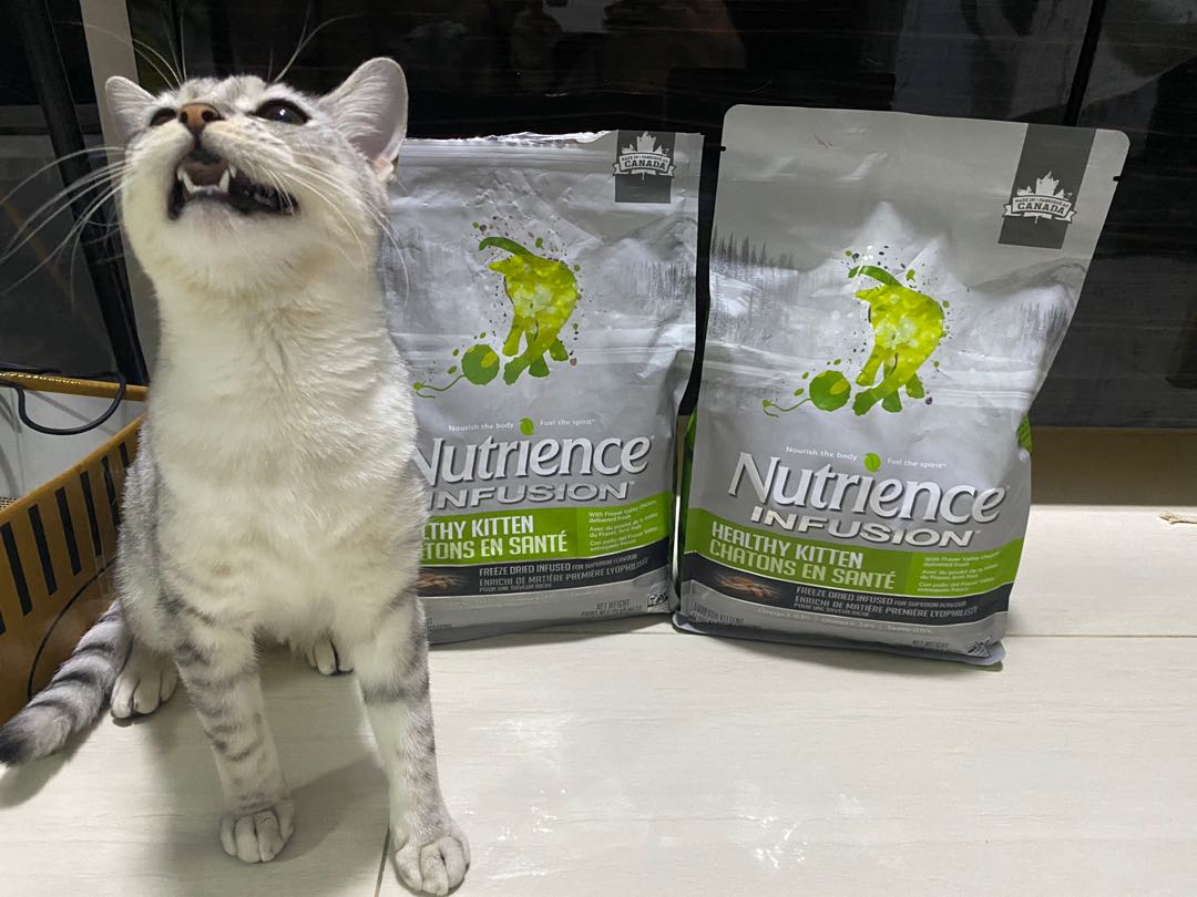 Hạt mèo NUTRIENCE KITTEN (bao nguyên seal) cho mèo con