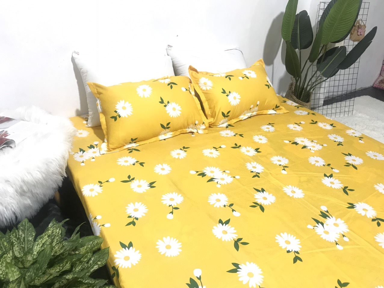 Bộ Ga Gối 3 Món ( Gồm 1 Ga Bo Chun + 2 Vỏ Gối) Mã CH213
